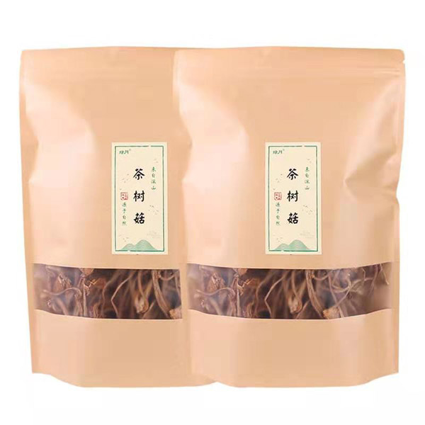 茶樹(shù)菇